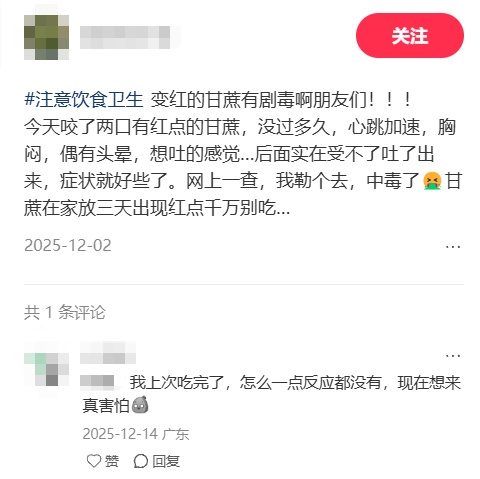别吃！赶紧扔掉！清明前后“毒过蛇”，很多深圳人爱吃