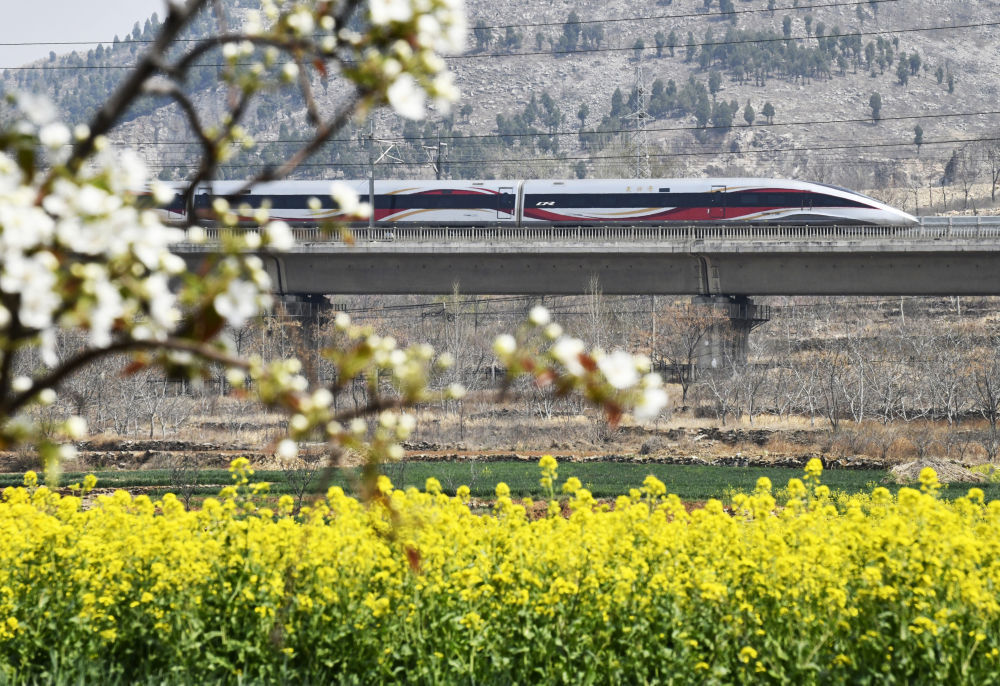 开往春天的列车，下一站：春和景明