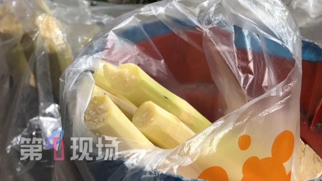 清明前后“毒过蛇”!不要吃!不要吃! 清明前后“毒过蛇”!不要吃!不要吃!