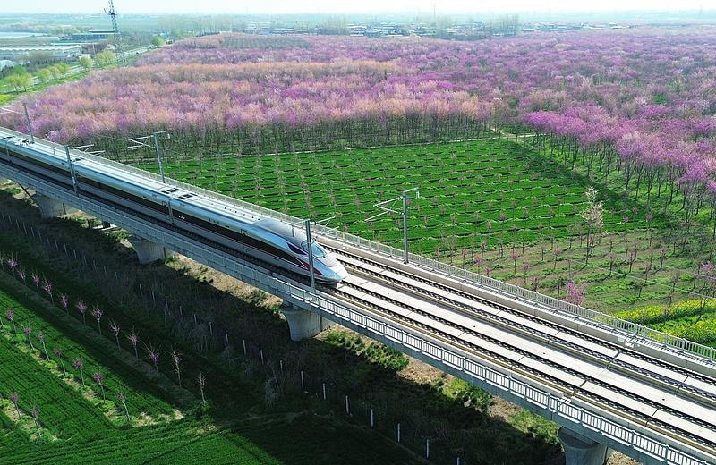 清明假期出行请关注！铁路、公路、民航最新信息汇总