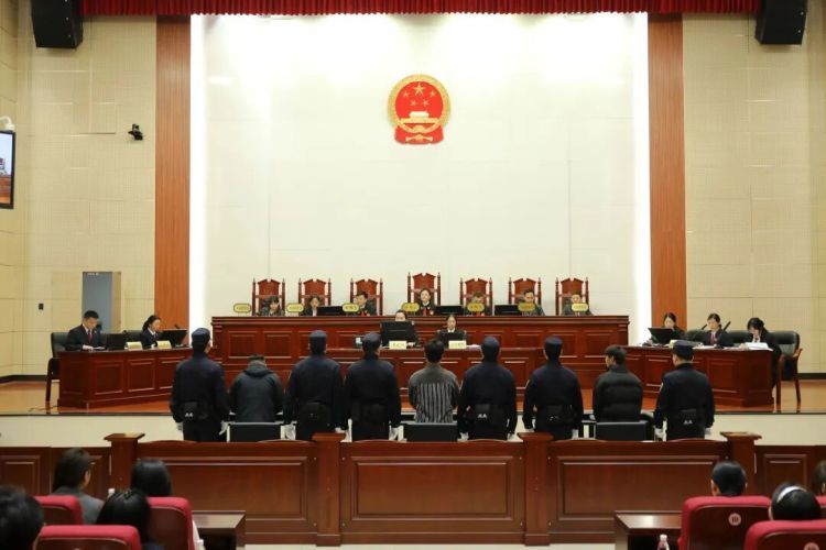 非法收购野生王锦蛇，并制作贩卖“口味蛇”，郴州3人被起诉