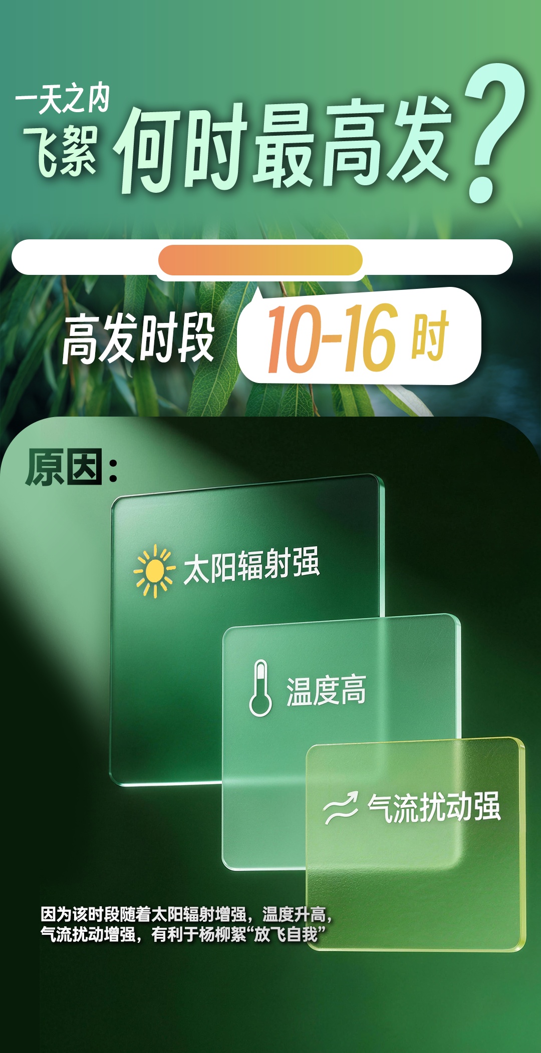 河南杨柳絮时间线公布，防护指南请收好→