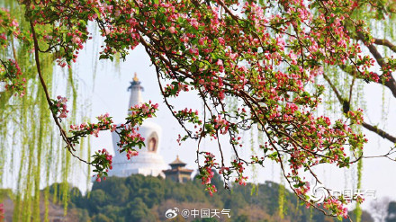 北海公园海棠花海上线