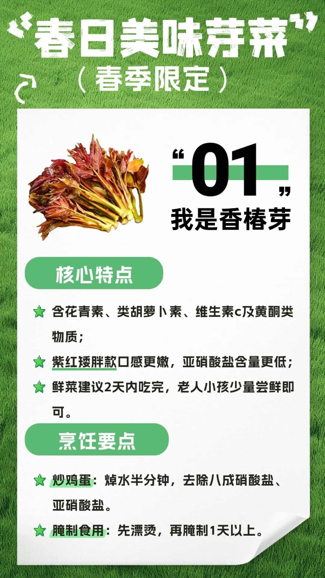 收藏！春日芽菜，这样吃健康又美味→