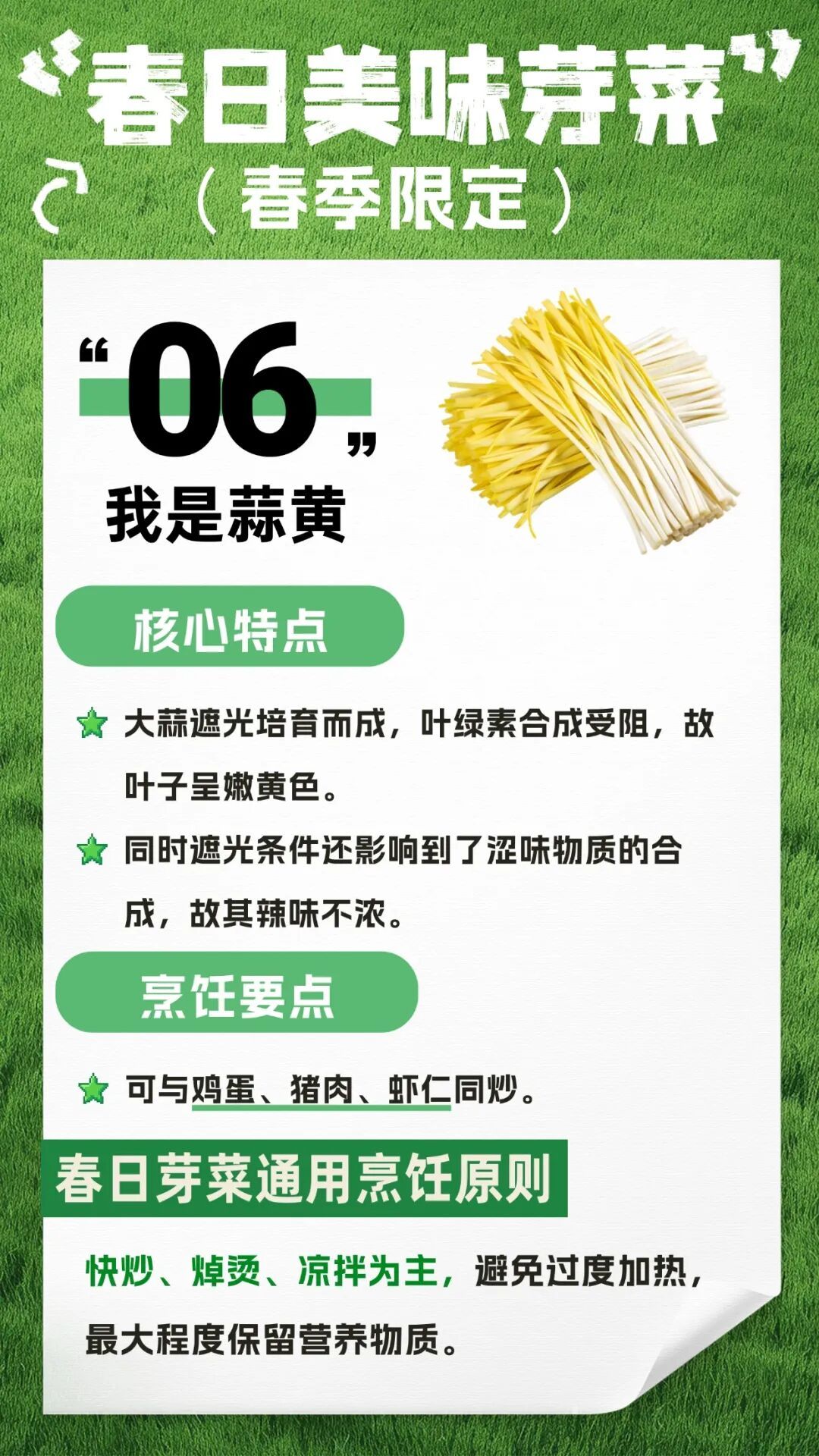 收藏！春日芽菜，这样吃健康又美味→