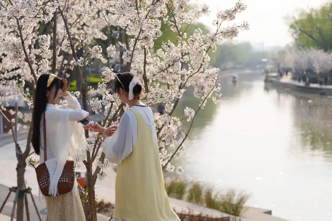 来北京的河边，赴一场春天的约会吧