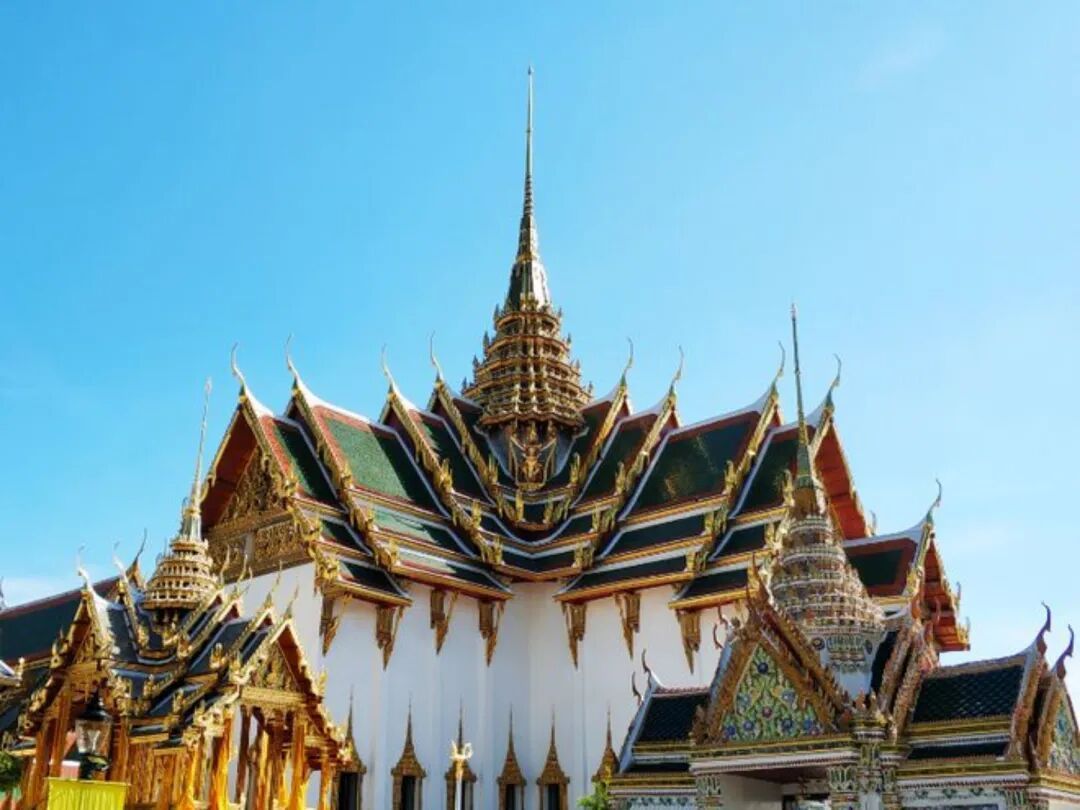 “今年蚊子可能迎来史诗级加强”登上热搜，海南疾控提醒→