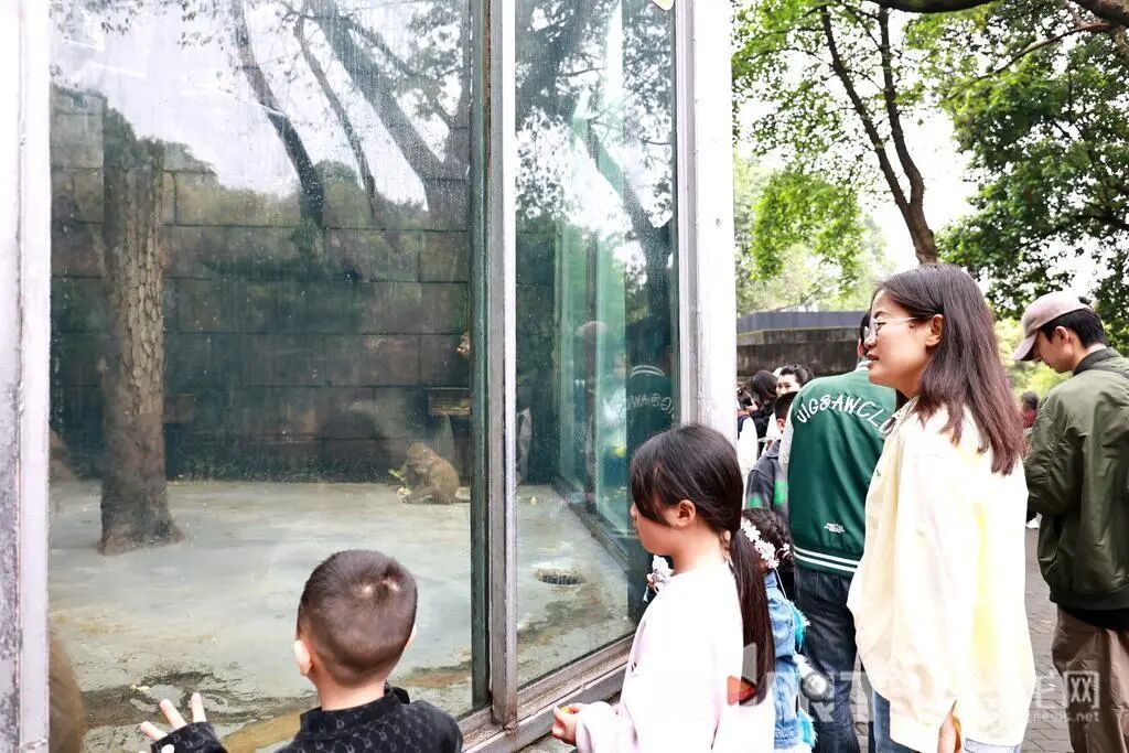 重庆动物园“萌宝天团”集体亮相！