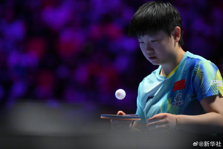 孙颖莎进世界杯女单8强