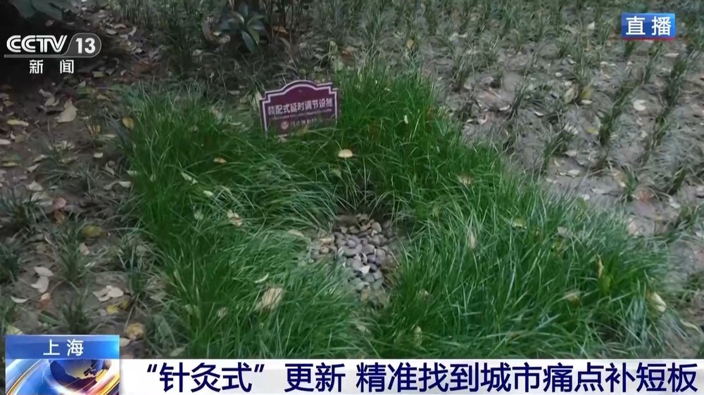 看见2030“十五五”新图景丨微“改”精“修” 老街区焕发新活力