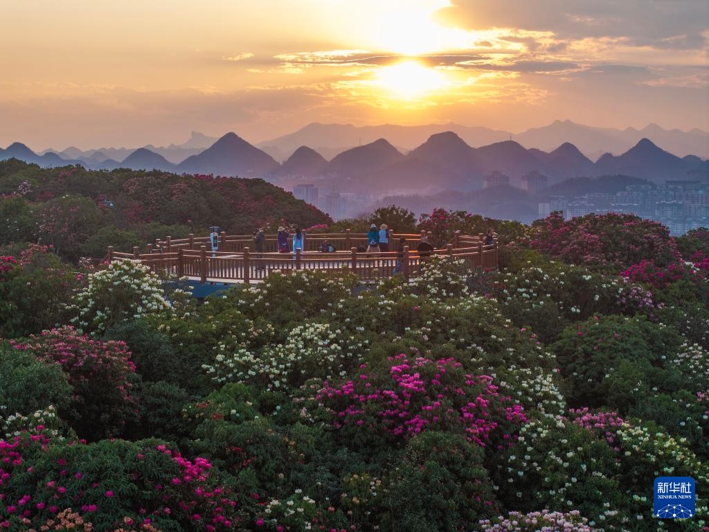 诗意中国丨几日春风又春雨 杜鹃依旧映山红