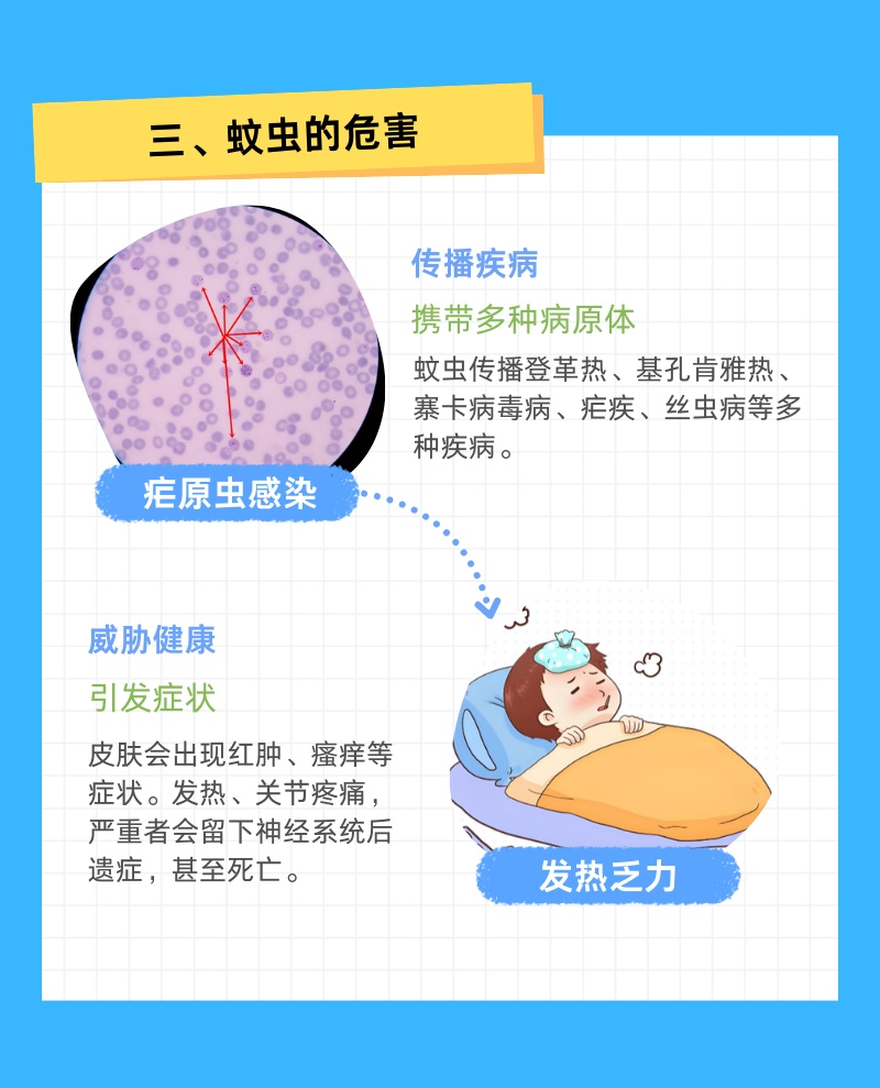 今夜雨水来袭，清明假期有雨吗？今年蚊子可能史诗级加强？上海疾控回应