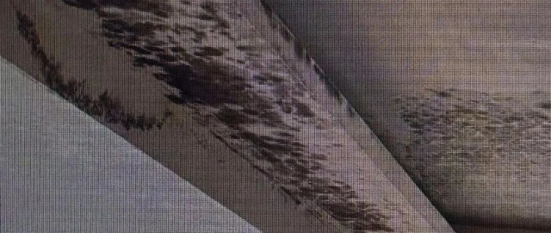 事发上海！家中反水被泡4个月，损失53万元！房主人在国外，也要担责吗？