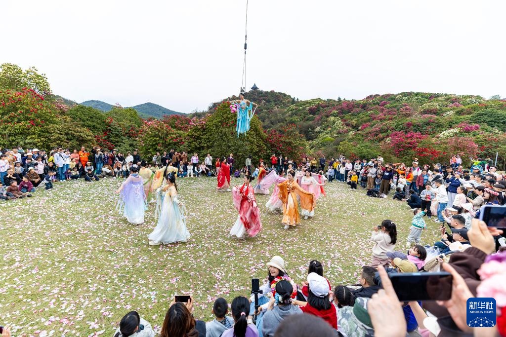 诗意中国丨几日春风又春雨 杜鹃依旧映山红