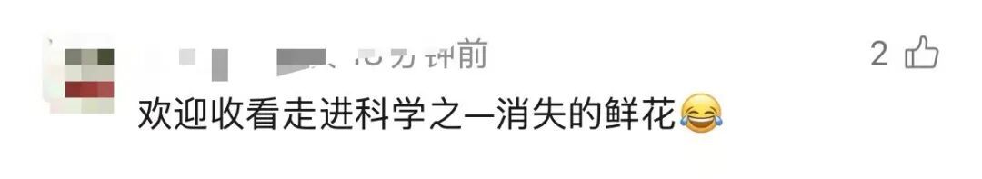 上海一墓园清明前诡异一幕！2人被抓获！网友怒了：太缺德！