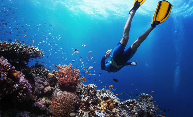 境外浮潜身故，保险公司以“猝死”拒赔80万意外险，法院如何认定？