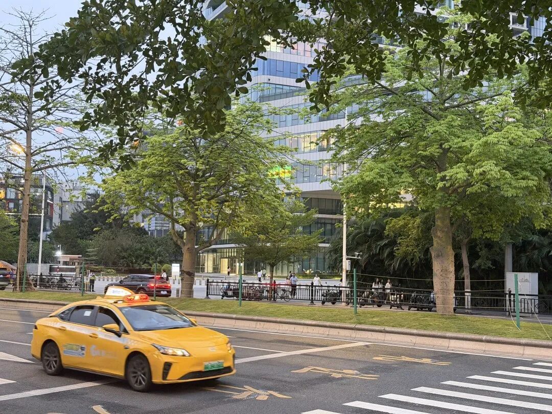 4月1日起严查后排不系安全带，司机和乘客一起挨罚？辟谣：非新规，一直都要系