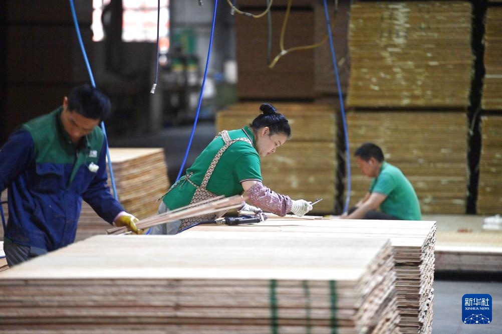 广西融安：“绿色引擎”助力乡村振兴