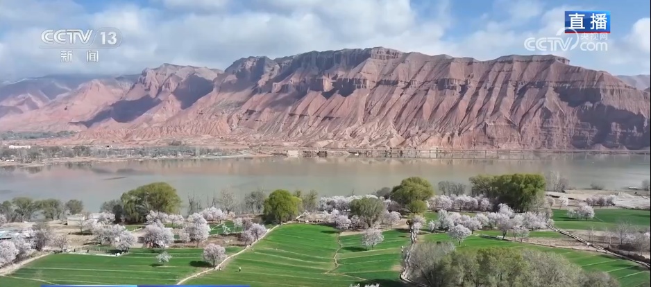 科技加持让春日麦田“节节高” 农旅融合激活乡村经济“步步高”