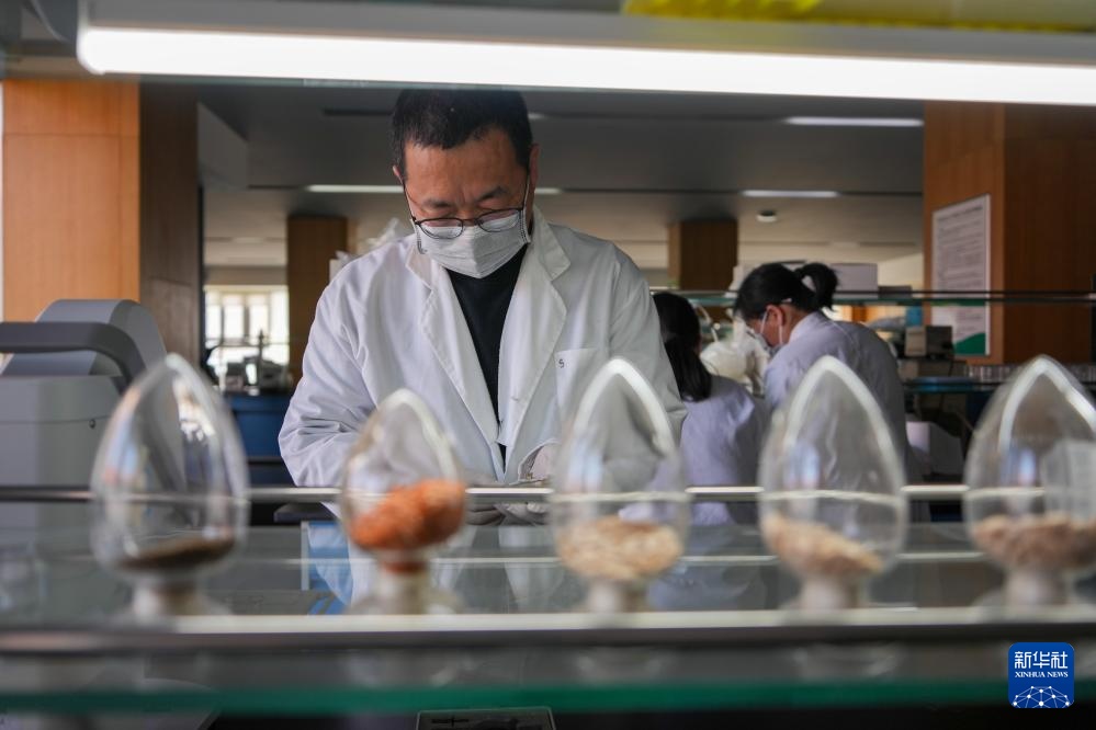 寿光蔬菜种质资源库储存蔬菜种质资源超2.6万份