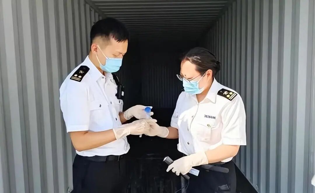 “今年蚊子可能迎来史诗级加强”登上热搜，海南疾控提醒→