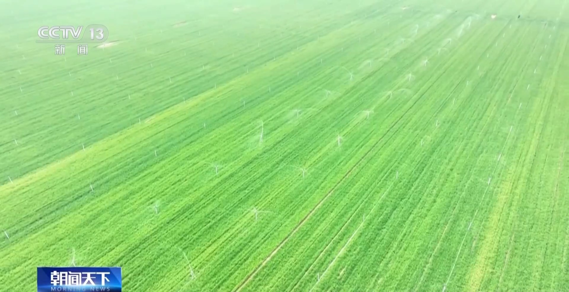 全国春灌面积超一亿亩 看看你家乡的“进度条”到哪了