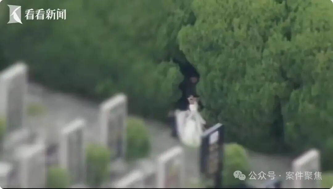 上海一墓园清明前诡异一幕！2人被抓获！网友怒了：太缺德！