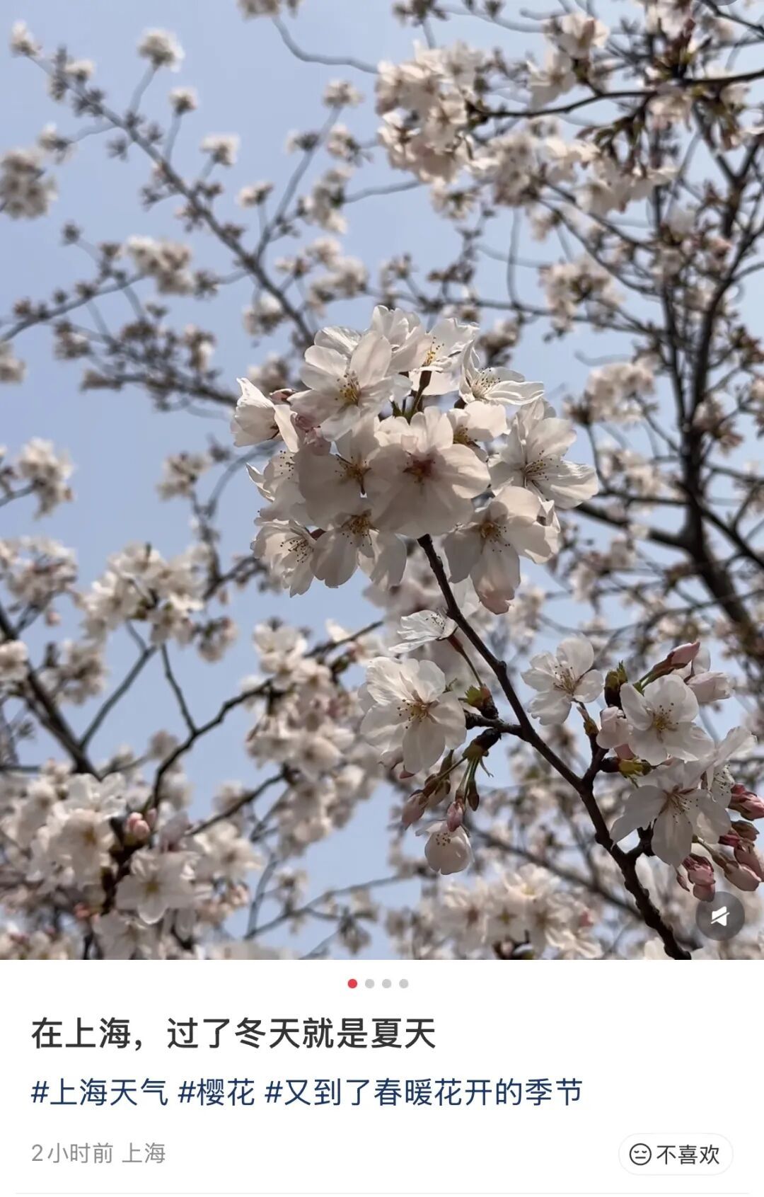 雨水即将抵达上海！明日雨雨雨+大风！清明申城天气预报出炉→
