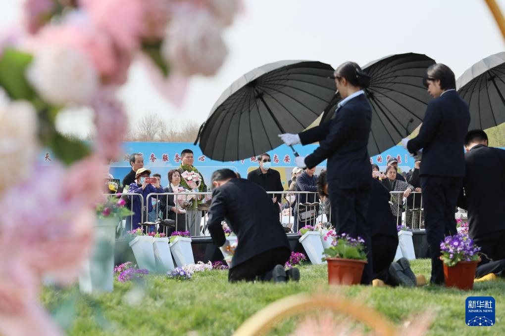 天津：节地生态安葬倡新风
