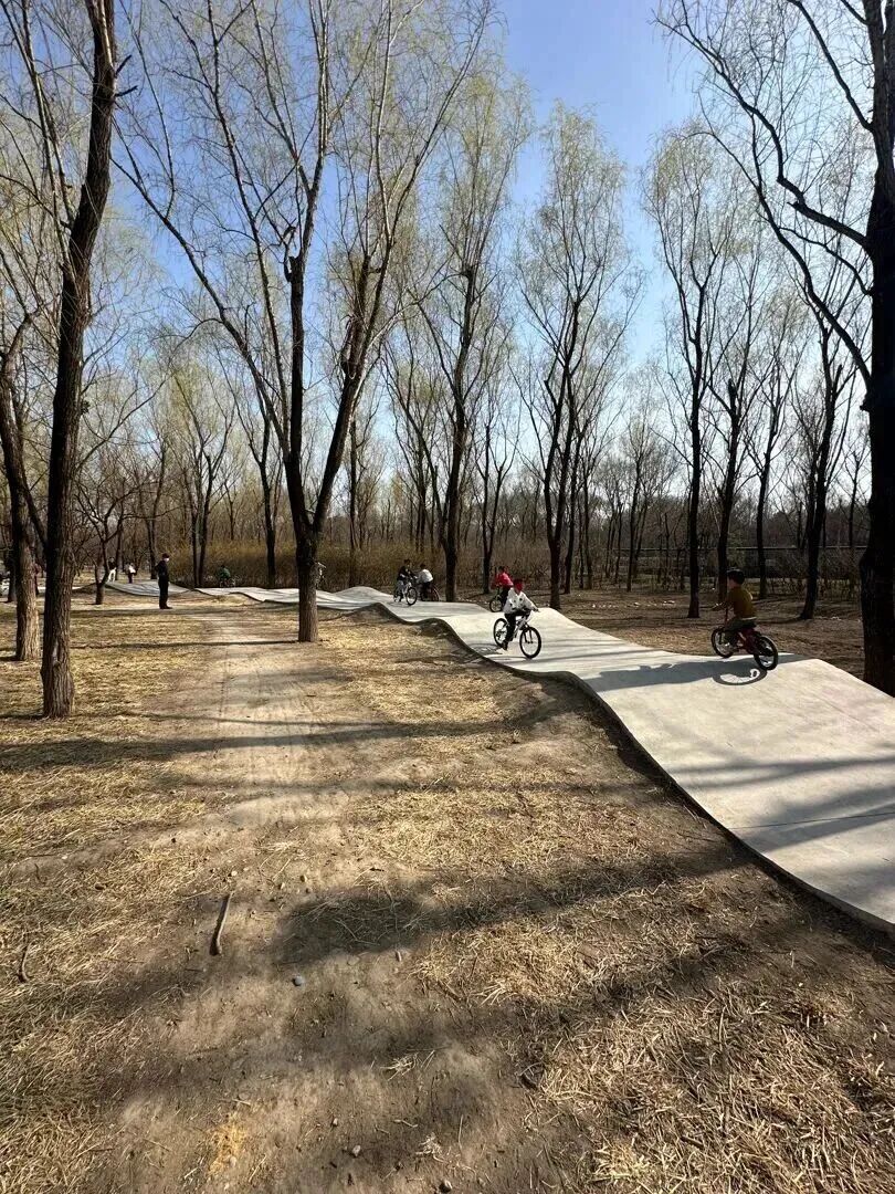 请注意！这种“免费乐园”暗藏危险