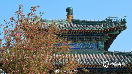 北海公园海棠花海上线