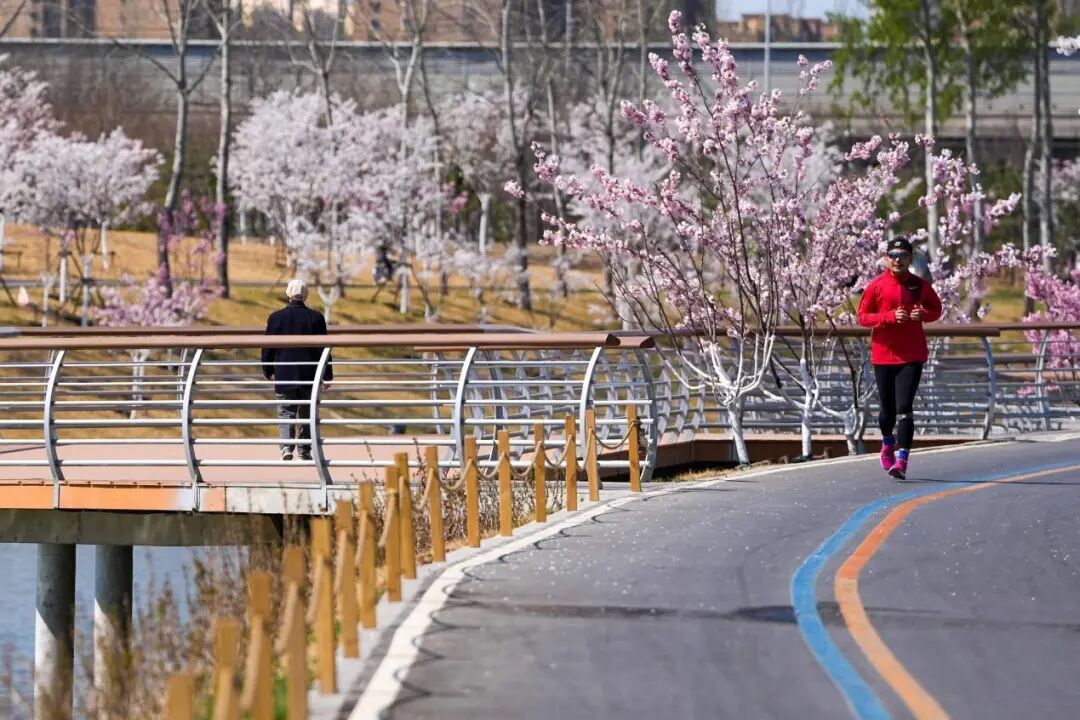 来北京的河边，赴一场春天的约会吧