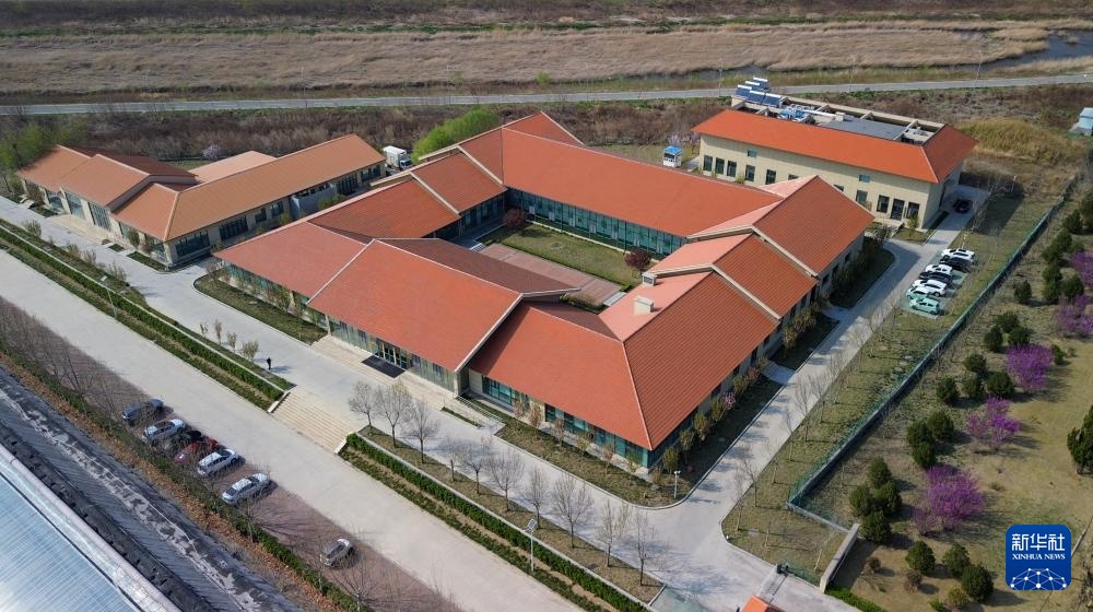 寿光蔬菜种质资源库储存蔬菜种质资源超2.6万份