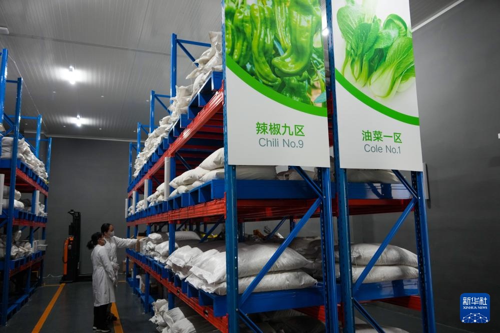 寿光蔬菜种质资源库储存蔬菜种质资源超2.6万份