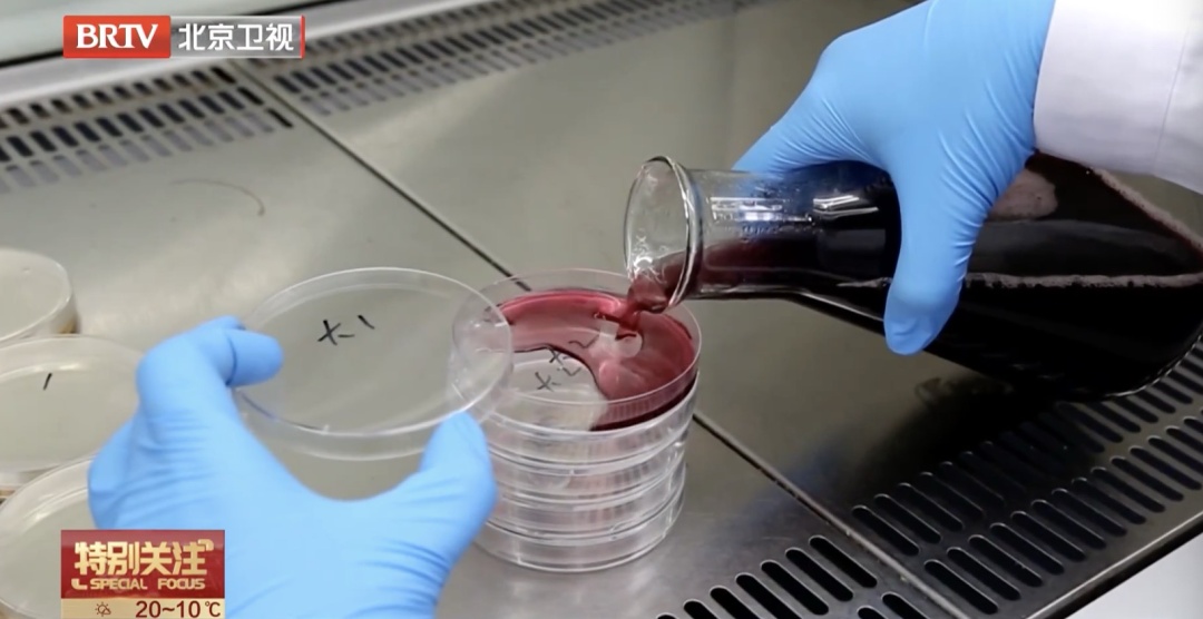 有这个标识的三文鱼，千万别生吃！专家提醒——