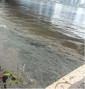 珠江有净水厂“偷排污水”？真相是→