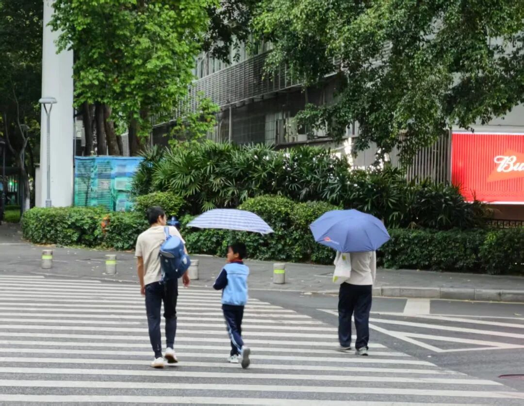 厦门发布雷电黄色预警！雷电+短时强降雨+大风！快关窗