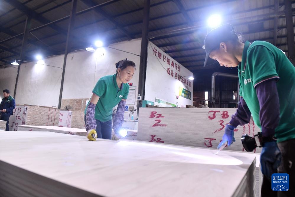 广西融安：“绿色引擎”助力乡村振兴