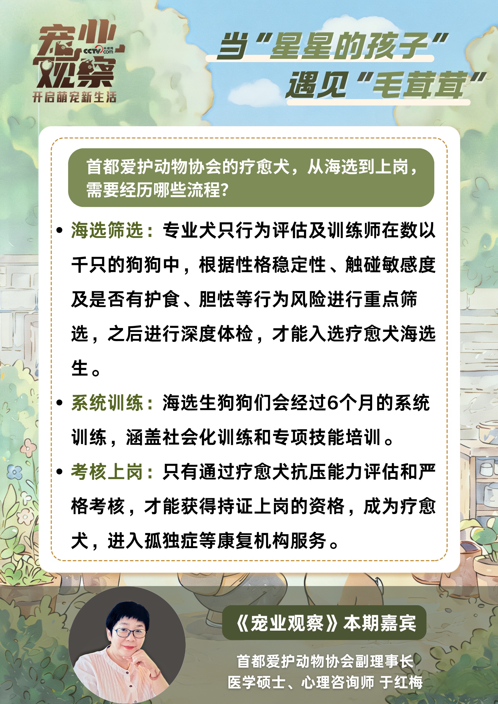 世界孤独症日：当“星星的孩子”遇见上岗的“毛茸茸”