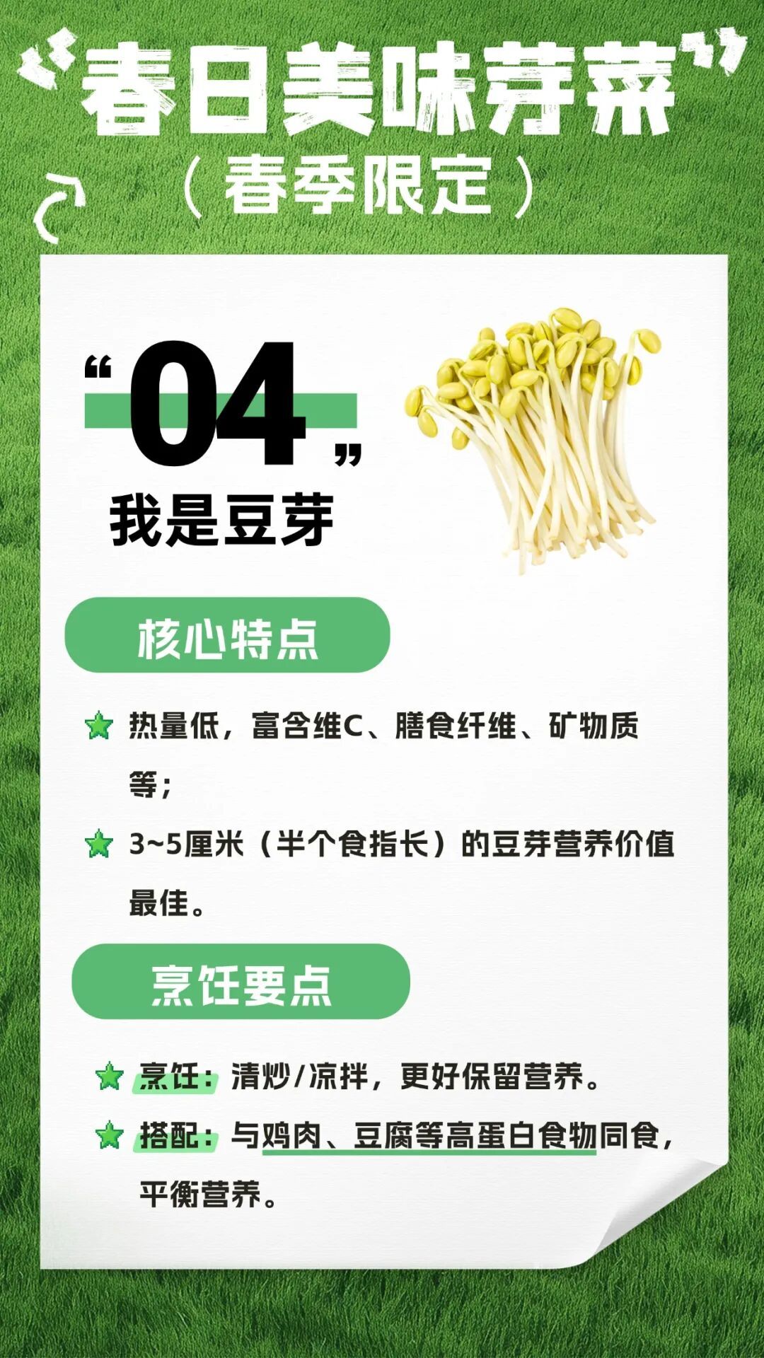 收藏！春日芽菜，这样吃健康又美味→