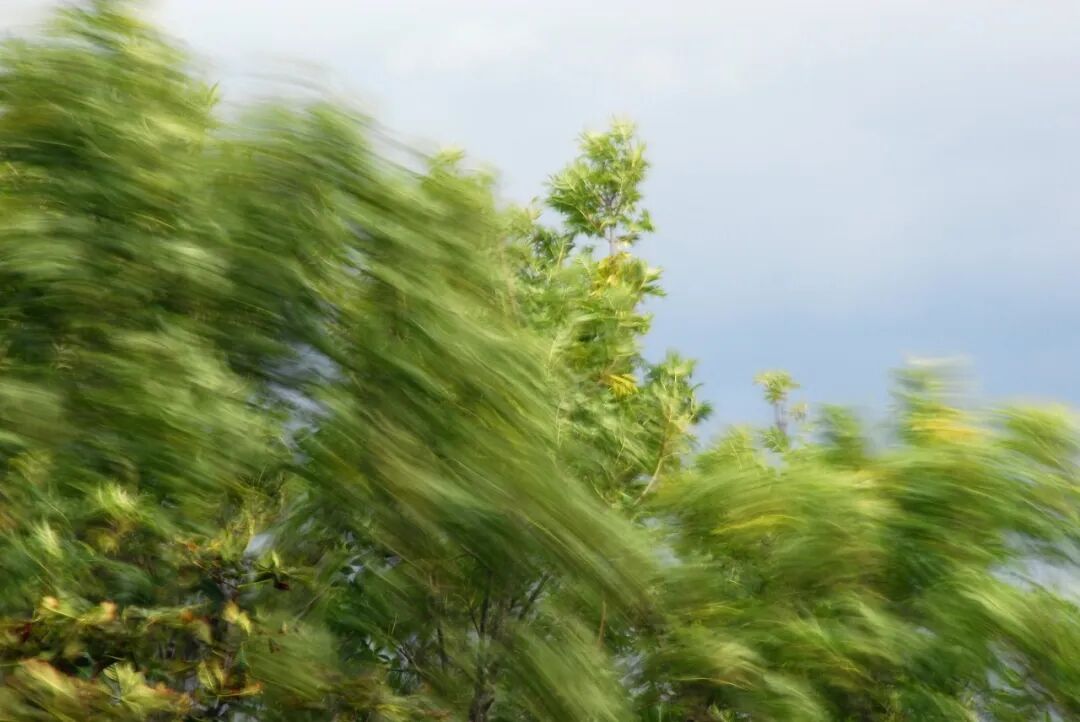 大风黄色预警！河北全省大部分地区伴有扬沙或浮尘！