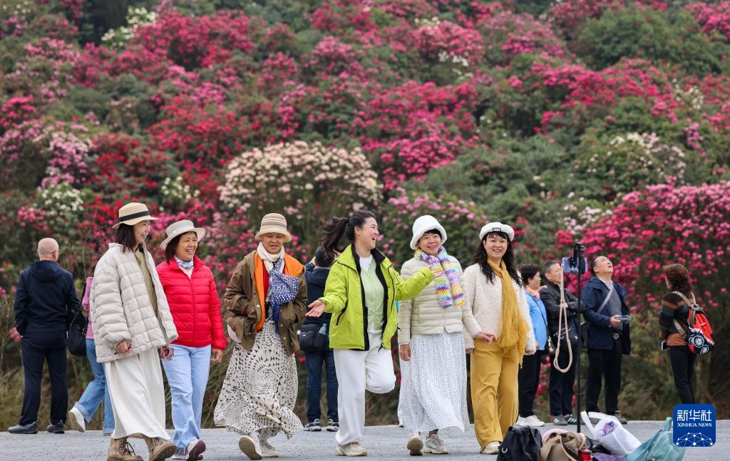 诗意中国丨几日春风又春雨 杜鹃依旧映山红