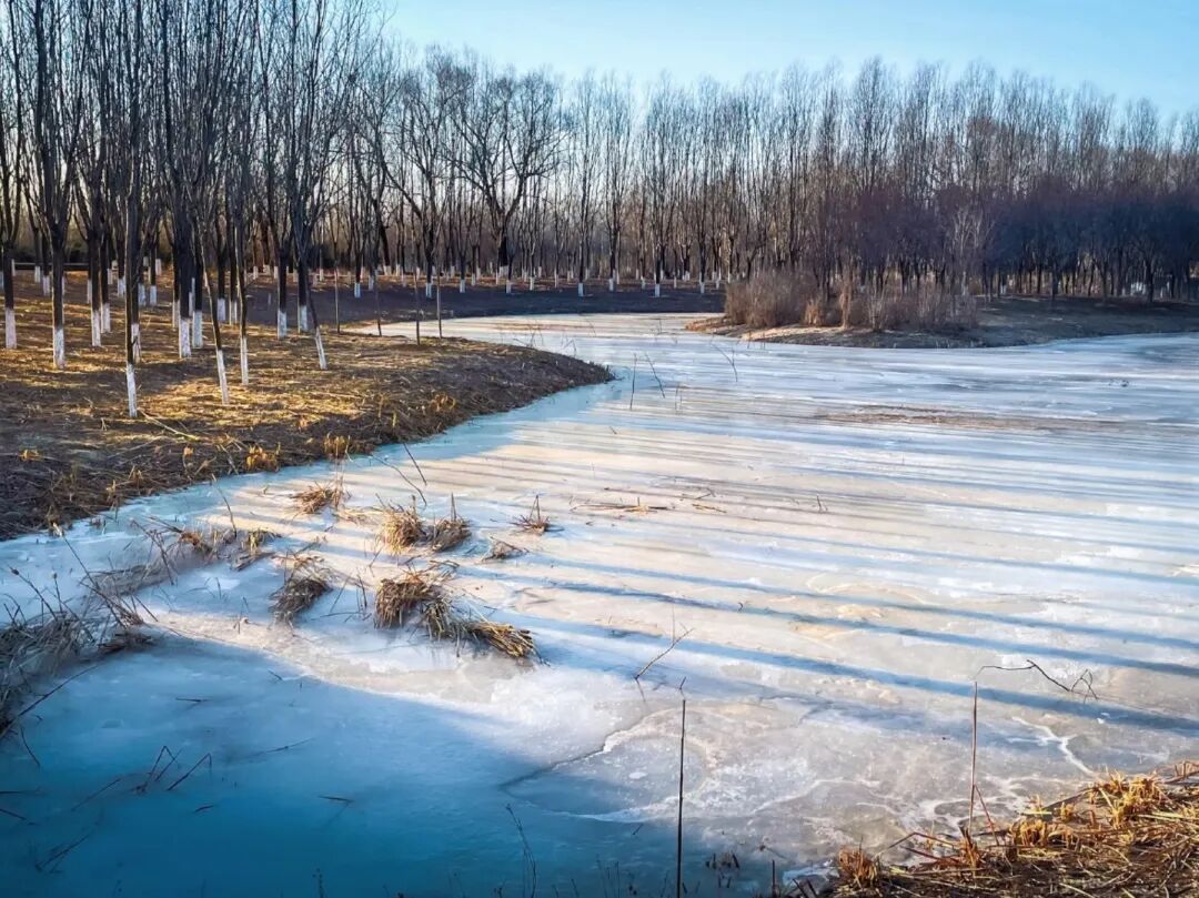 “今年蚊子可能迎来史诗级加强”登上热搜，海南疾控提醒→