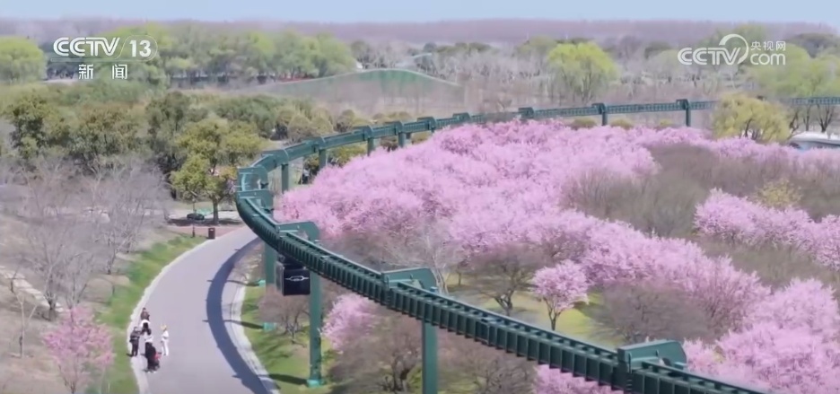 从“种田地”到“种风景” “花样经济”新业态奏响乡村振兴“春日曲”