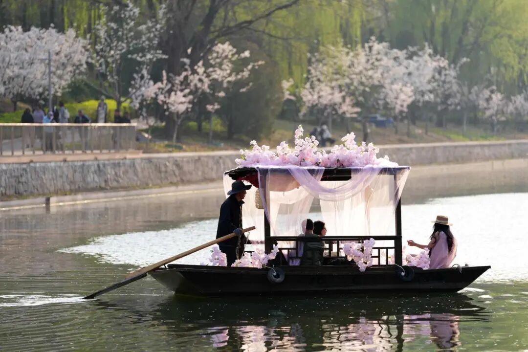 来北京的河边，赴一场春天的约会吧