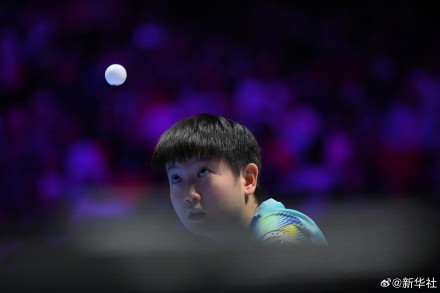 孙颖莎进世界杯女单8强