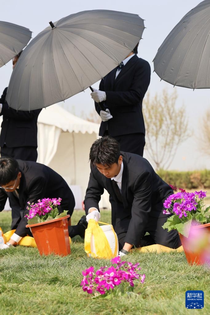 天津：节地生态安葬倡新风