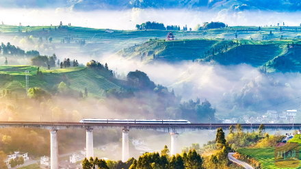 雅安茶山入画如画太雅了 &nbsp;每一帧都美得想要截图