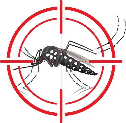 “今年蚊子可能迎来史诗级加强”登上热搜，海南疾控提醒→