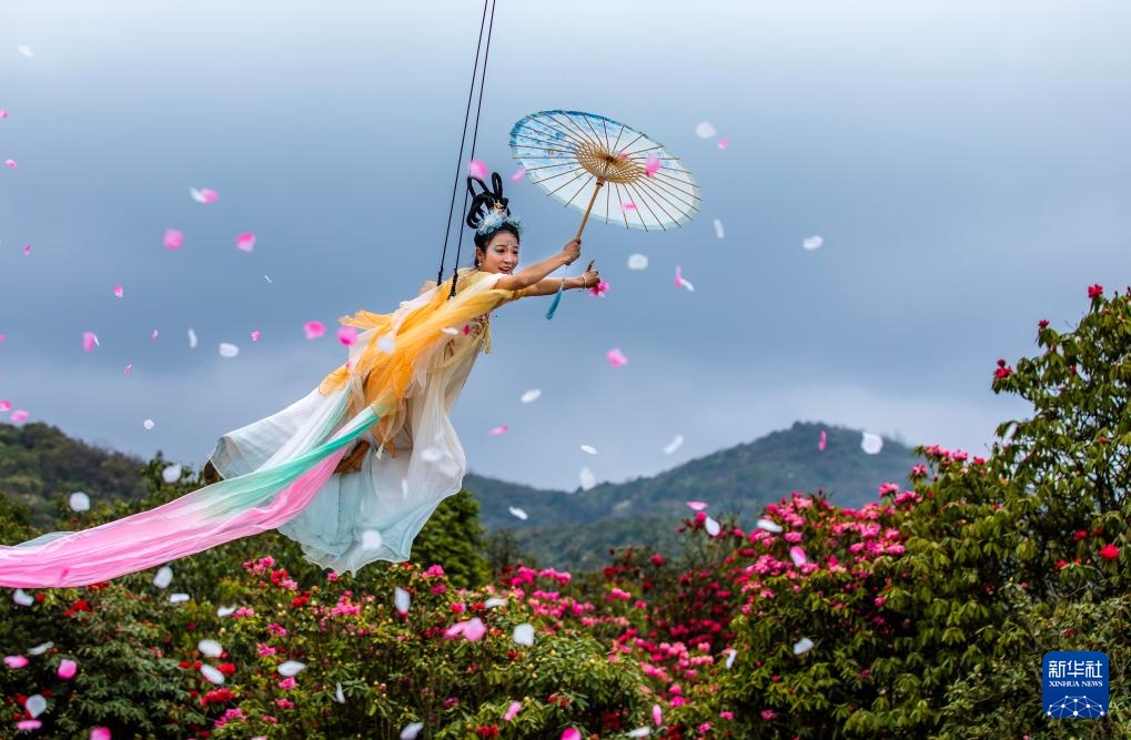 诗意中国丨几日春风又春雨 杜鹃依旧映山红